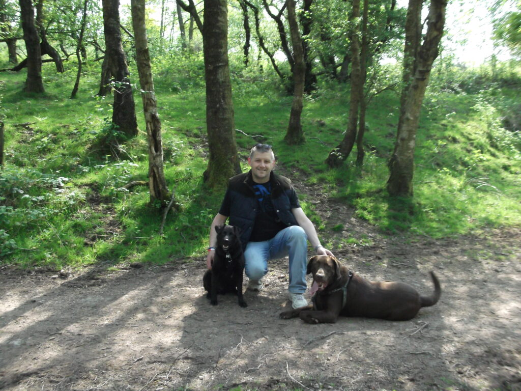 Dog Training Salford