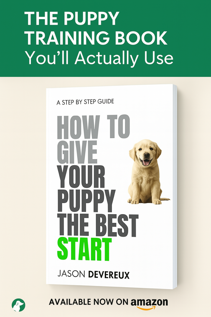 how to give your puppy the best start
